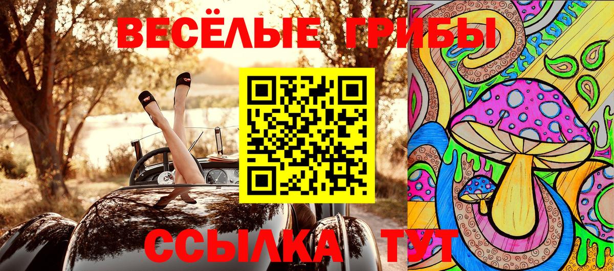 Галлюциногенные грибы мухоморы  Вход с VPN  Искитим 