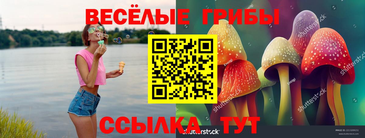 Галлюциногенные грибы GOLDEN TEACHER Искитим